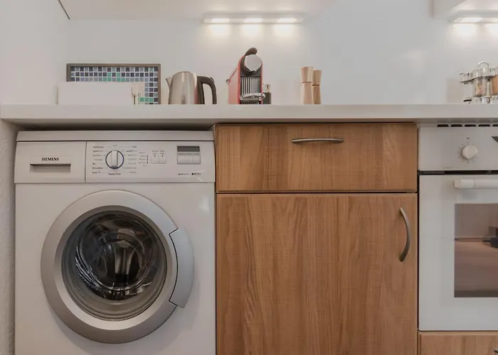 公寓 Bel Oiseau - Hypercentre - Balcon -chamonix